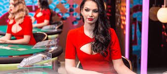 npt999 VIP Diamond Gold Cashback Bonus Myanmar ကစားသမား ဆုလာဘ်